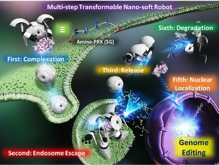 graphical abstract